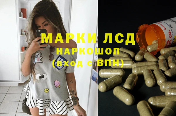 гашик Михайловка