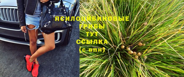 гашик Михайловка