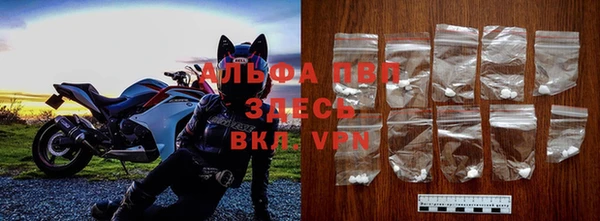 гашик Мегион