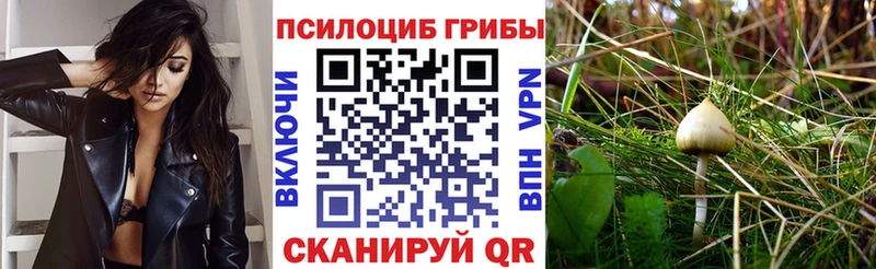 Галлюциногенные грибы Psilocybine cubensis  Власиха 